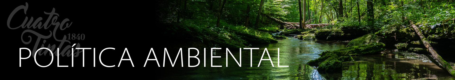 POLITICA AMBIENTAL